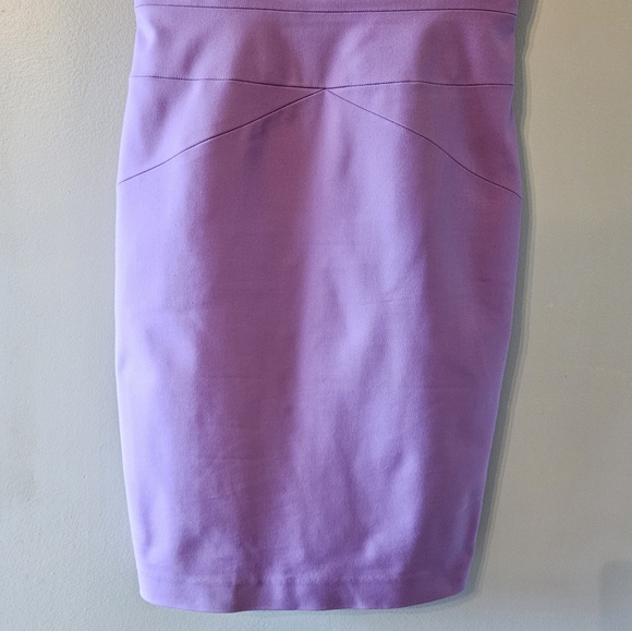 Robert Rodriguez Cocktail Sleeveless Classy Mini Dress Lilac Size 8. - Picture 8 of 16
